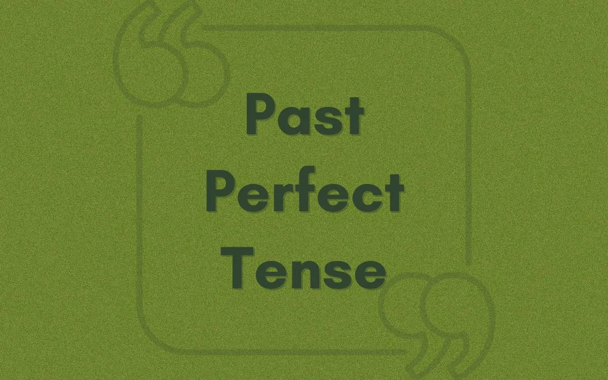 Past Perfect Tense ile Örnek Cümleler