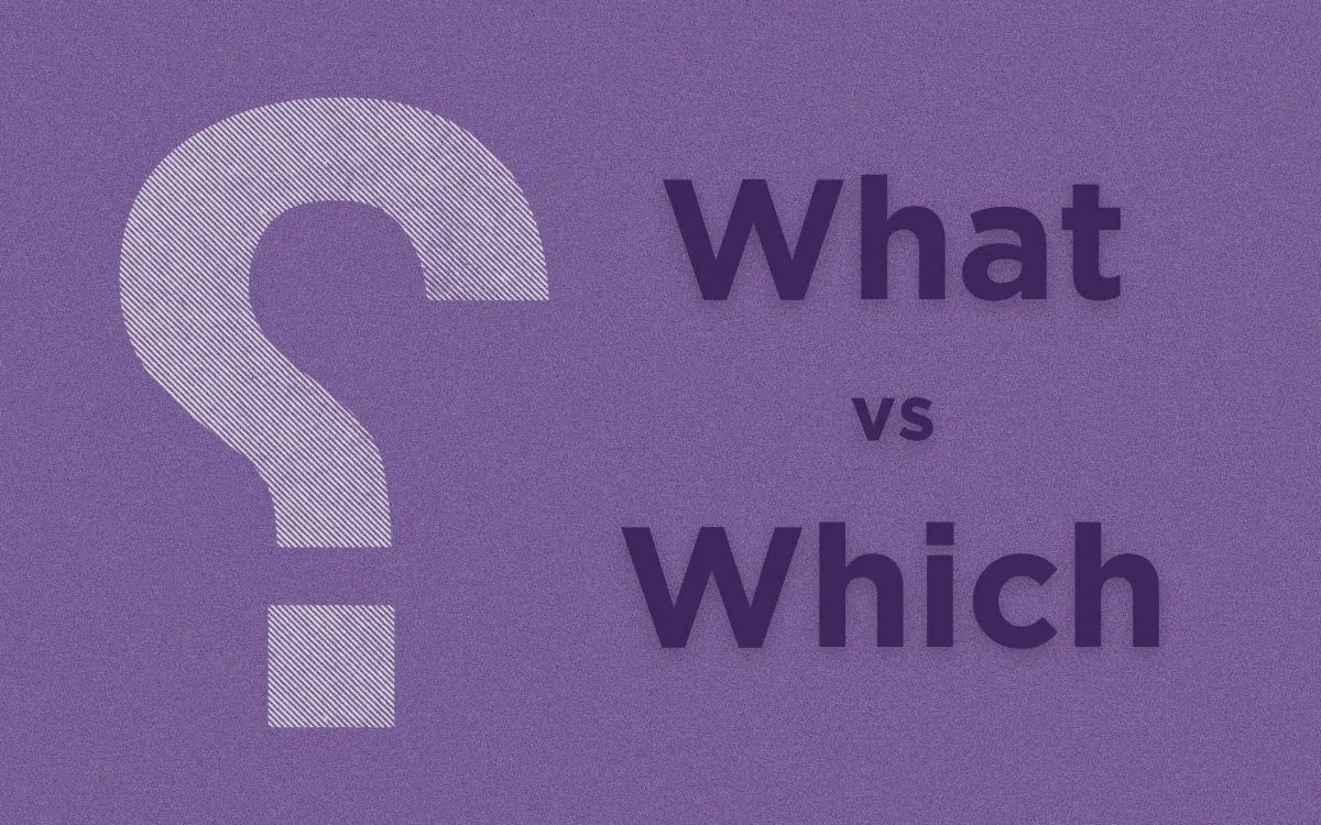 What is the Difference Between 'What' and 'Which'?