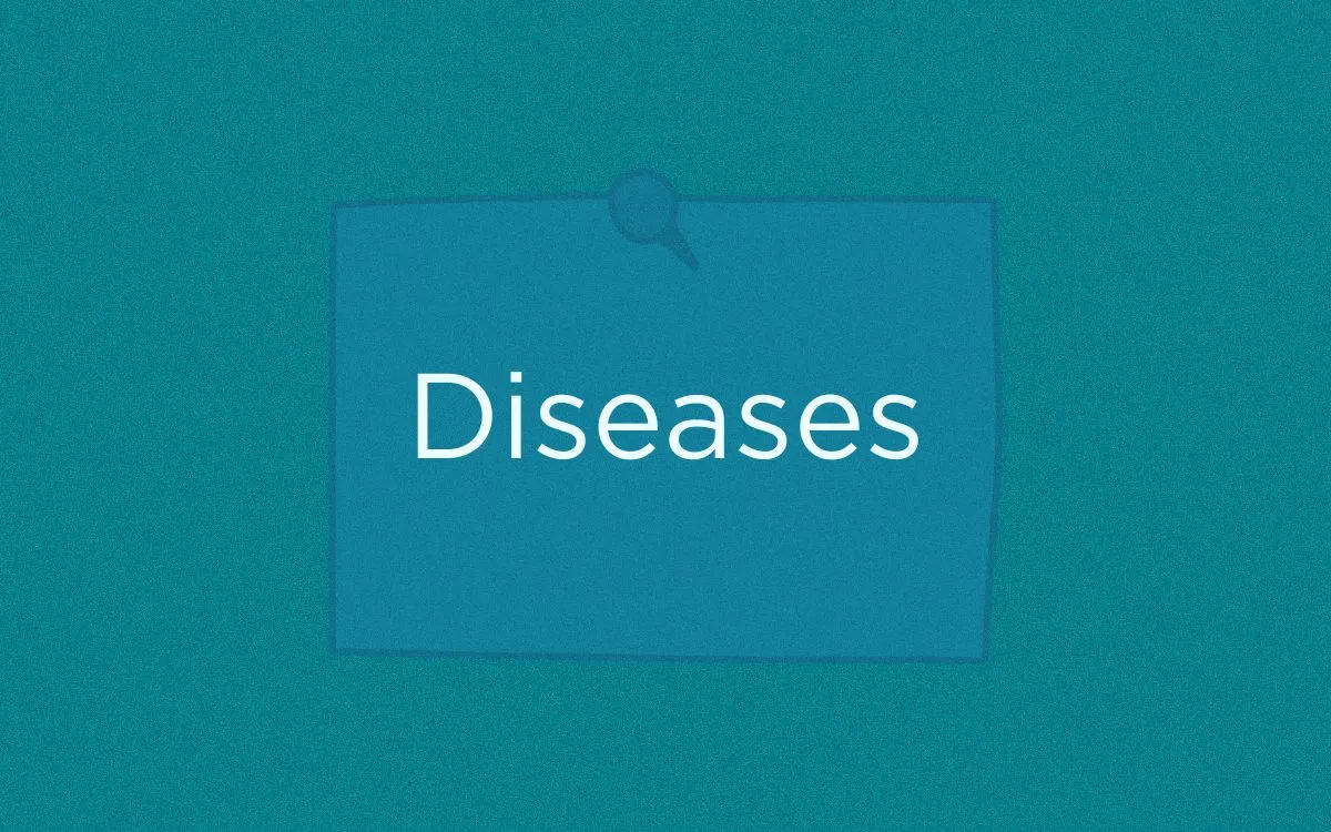 İngilizce Hastalıklar - Diseases